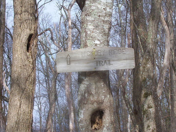 Cohutta Wilderness Hiking Hickory Ridge Trail