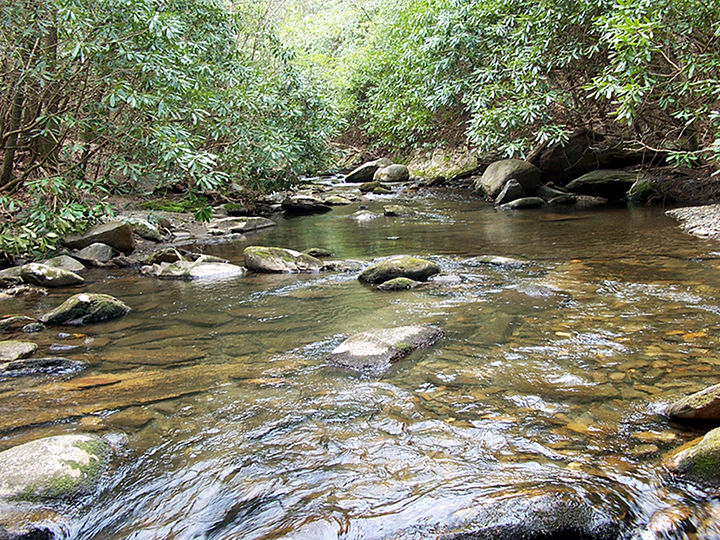Conasauga River