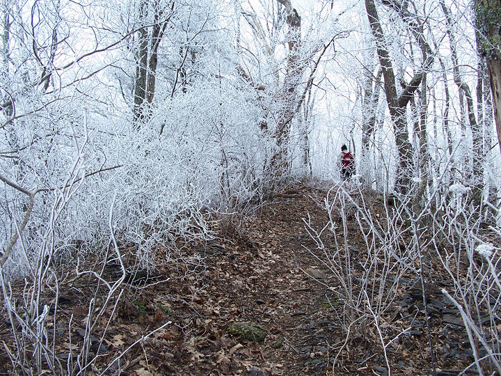 Hemp Top Trail