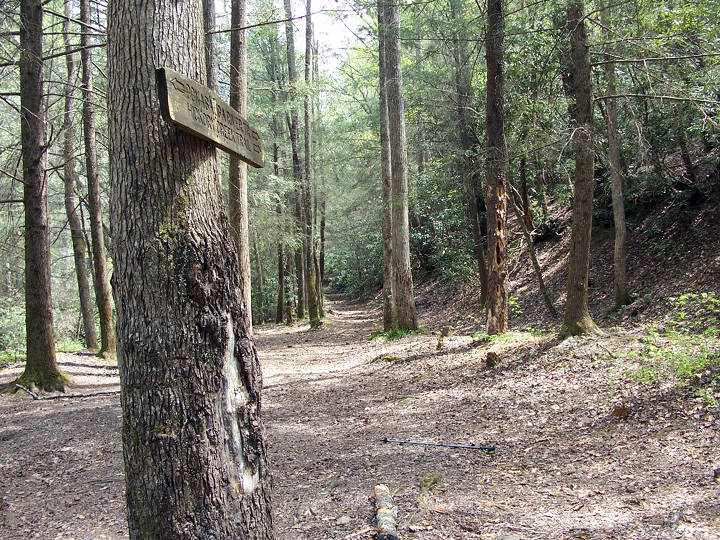 Hickory Creek Trail