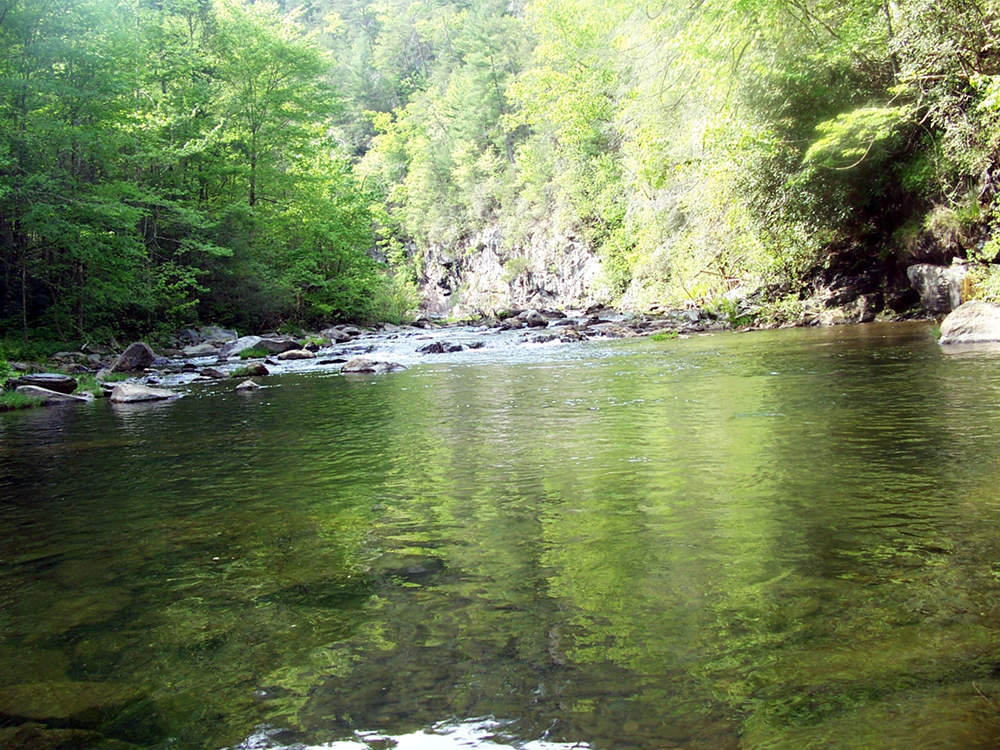 Cohutta Wilderness Hiking Jacks River Trail Jacks River Falls