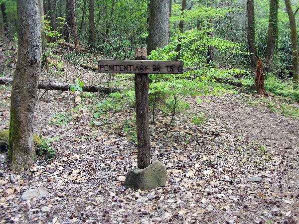 Penitentiary Branch Trail after 18th River Crossing