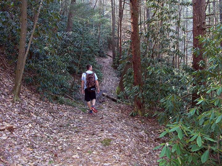 Jacks River Trail