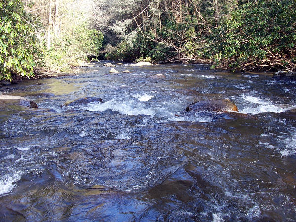 Jacks River Trail 8th River Crossing