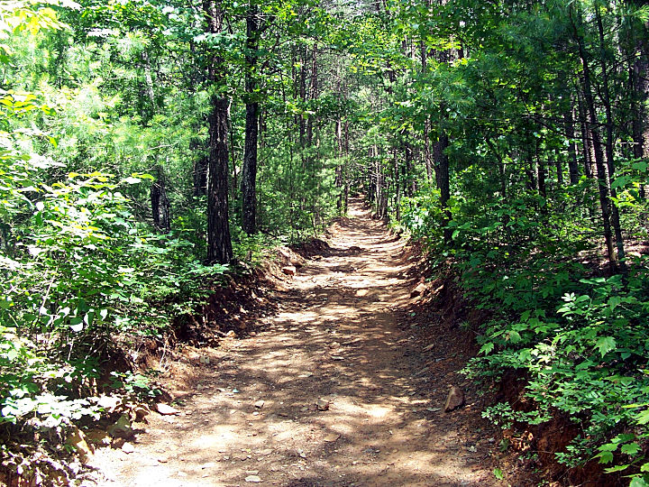 Windy Gap Trail Lake Conasauga Chattahoochee National Forest